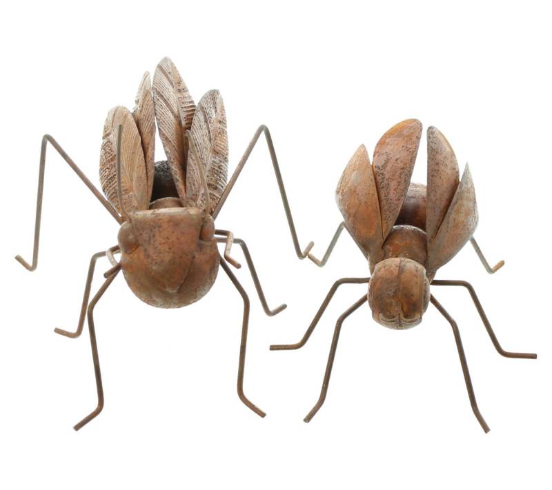 Frank Flechtwaren Dekofigur Gartenfigur "Insekten", 2er Set von Frank Flechtwaren