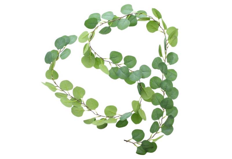 Frank Flechtwaren LED Dekolicht, LED-Lichterkette Eukalyptus von Frank Flechtwaren