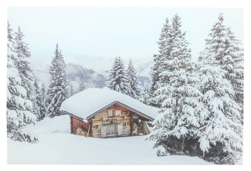Frank Flechtwaren LED Dekoobjekt LED-Bild "Winter" von Frank Flechtwaren