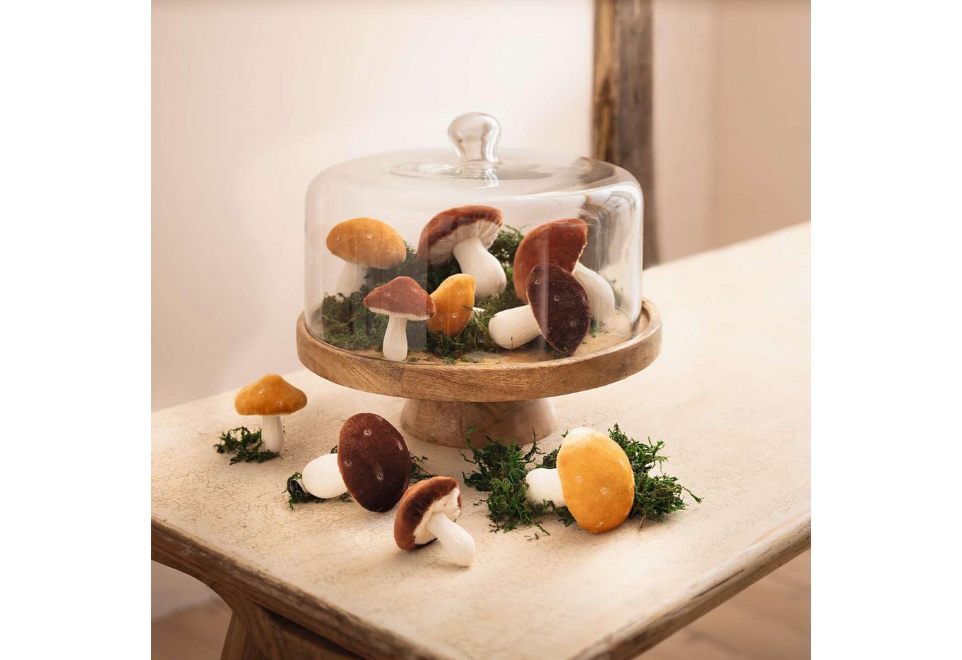 Frank Flechtwaren Servierplatte Servierplatte Mango Holz Haube Glas – Käseglocke, Servierbrett Frank Flechtwaren Servierplatte Servierplatte Mango Holz Haube Glas – Käseglocke, Servierbrett von Frank Flechtwaren