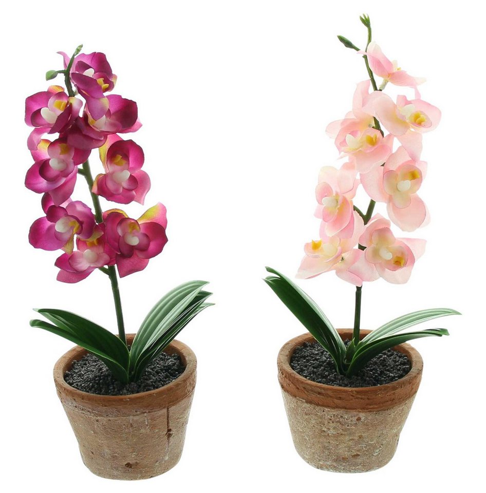 Kunstblume Orchidee im Topf, 2er Set, Frank Flechtwaren von Frank Flechtwaren