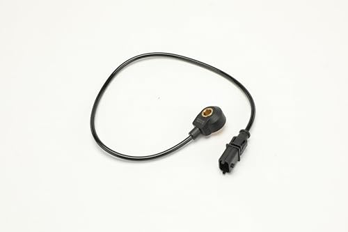 Frankberg Klopfsensor Einspritzanlagen Kompatibel mit XC60 2010-2016 S40 2004-2010 XC90 S60 V70 V50 XC70 S80 LR2 Knock Sensor Replace# 6G9N12A699AB von Frankberg