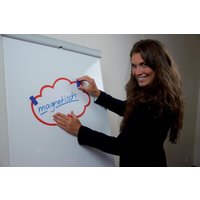 FRANKEN Magnet 2,3 x 5,0 blau FRANKEN Magnet 2,3 x 5,0 blau von Franken