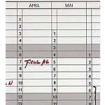 Franken Datumstreifen Jetkalender Spezial Transparent 14 x 42 cm von Franken