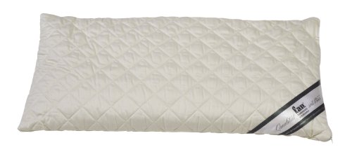 f.a.n. Frankenstolz 03880-11024-19 Dinkelkissen / Medisan Sleep & Care / 040 x 080 cm f.a.n. Frankenstolz 03880-11024-19 Dinkelkissen / Medisan Sleep & Care / 040 x 080 cm von Frankenstolz