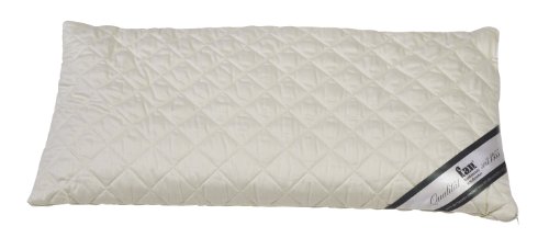 f.a.n. Frankenstolz 03880-11024-19 Dinkelkissen / Medisan Sleep & Care / 040 x 080 cm von Frankenstolz