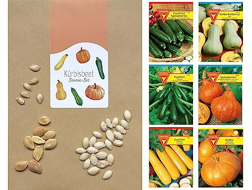 Gemüse Samen Set: Samen-Sortiment / 3 Kürbissorten und 3 Zucchinisorten/Zucchini Black Beauty/Zuchini Partenon F1, Mehrfarbig, BU12 von Frankonia