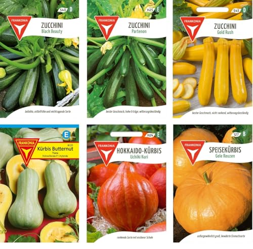 Gemüse Samen Set: Samen-Sortiment / 3 Kürbissorten und 3 Zucchinisorten/Zucchini Black Beauty/Zuchini Partenon F1, Mehrfarbig, BU12 von Frankonia