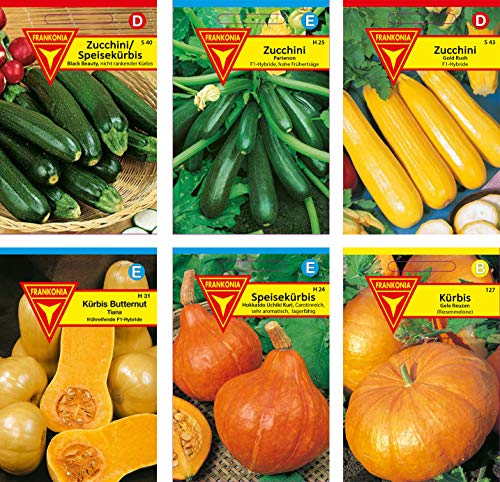 Gemüse Samen Set: Samen-Sortiment / 3 Kürbissorten und 3 Zucchinisorten/Zucchini Black Beauty/Zuchini Partenon F1, Mehrfarbig, BU12 von Frankonia