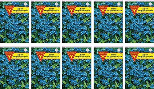 Frankonia-Samen / Vergißmeinnicht / Blumensamen / Myosotis alpestris / /blau / 10er Pack / ergibt bis zu 500 Pflanzen / zweijährig von Frankonia