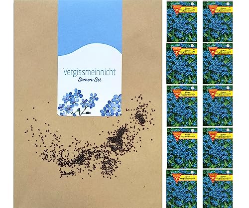 Frankonia-Samen / Vergißmeinnicht / Blumensamen / Myosotis alpestris / /blau / 10er Pack / ergibt bis zu 500 Pflanzen / zweijährig von Frankonia