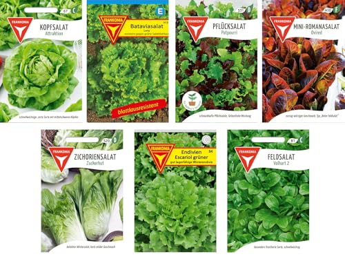 Frankonia-Samen / Samen-Sortiment / 7 Salatsorten / Kopfsalat / Bataviasalat / Pflücksalat / Romansalat /Zichoriensalat / Endivien / Feldsalat von Frankonia