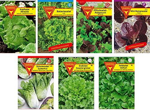 Frankonia-Samen / Samen-Sortiment / 7 Salatsorten / Kopfsalat / Bataviasalat / Pflücksalat / Romansalat /Zichoriensalat / Endivien / Feldsalat von Frankonia