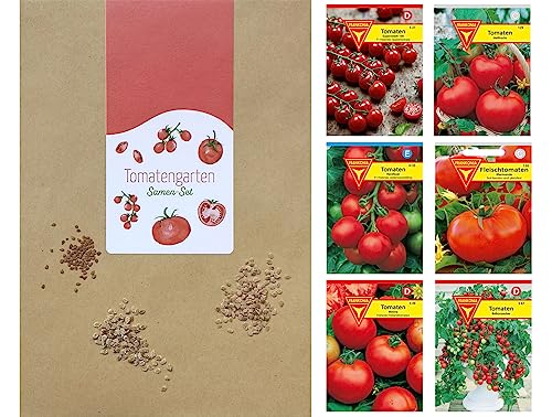 Frankonia-Samen / Tomatensamen-Sortiment / 6 Tomatensorten / Tomate Supersweet / Tomate Harzfeuer / Tomate Matina / Tomate Hellfrucht / Fleischtomate / Tomate Balkonzabuber von Frankonia