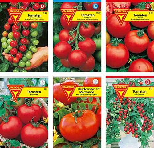 Frankonia-Samen / Tomatensamen-Sortiment / 6 Tomatensorten / Tomate Supersweet / Tomate Harzfeuer / Tomate Matina / Tomate Hellfrucht / Fleischtomate / Tomate Balkonzabuber von Frankonia