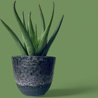 70S Fat Lava Blumentopf Antrazit Selten von FrauvonMuecke