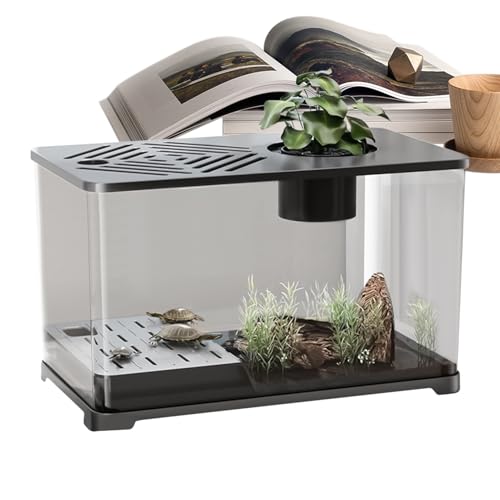 Aquarium Fish Tank - Betta Desktop -Kit für zu Hause, moderner Fischbehälter mit Schildkröte Rastplatz, Wasserpflanze, Garnelenlebensraum, dekorative Zubehör für Büro, Schlafzimmer, Wohnzimmer Aquarium Fish Tank - Betta Desktop -Kit für zu Hause, moderner Fischbehälter mit Schildkröte Rastplatz, Wasserpflanze, Garnelenlebensraum, dekorative Zubehör für Büro, Schlafzimmer, Wohnzimmer von Fravsiu