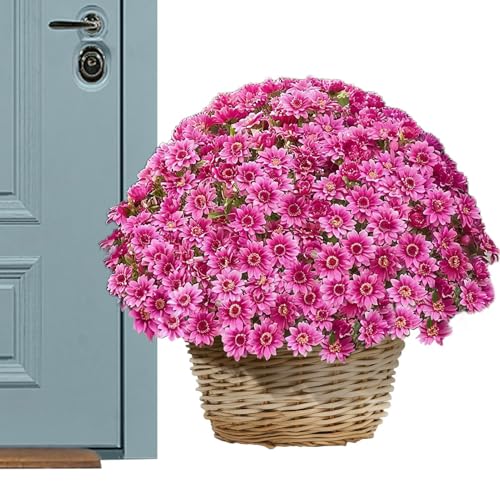 Fravsiu Künstliche Chrysanthemen | 10er-Bündel Künstliche Outdoor Herbstblumen Sunset Chrysanthemen | Deko-Pflanzen für Terrasse Garten Balkon Fensterbank Vasen Hochzeit Wohnzimmer Partyschmuck von Fravsiu