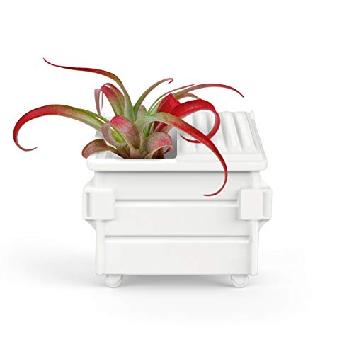 Genuine Fred Fancy Plants 5280962 Luftpflanzenhalter, Dumpster von Genuine Fred