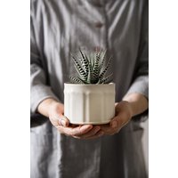 Blumentopf, Übertopf Aus Weißer Keramik, Sukkulenten Keramik Übertopf, Indoor Moderner Gartengeschenk von FreeFolding
