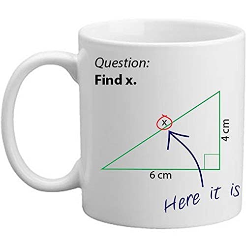 Freelogix Find X Novelty Mathematics Maths Question Teacher Professor Student Gift Mug - 11oz Present Mug by FreeLogix von FreeLogix