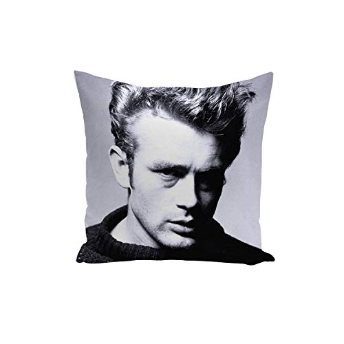 French Unicorn Kissenbezug mit berühmtem Star James Dean Schauspieler Altes Kino, Original 7 (40 x 40 cm) von French Unicorn