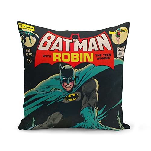 French Unicorn Kissenhülle Batman Superhelden mit Robin Comics Comics Super Hero (40 x 40 cm) von French Unicorn