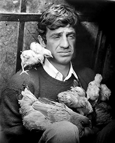 Poster Jean Paul Belmondo Photo Rare Jugend Couvert de Poussins Bild Vintage Star von French Unicorn