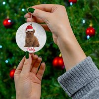 Spielzeug Pudel Ornament | Apricot Zwergpudel Geschenke Personalisierte Mama Custom Miniatur Weihnachtsbaum Dekoration von FrenchieDogMomCo