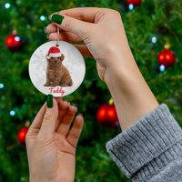 Zwergpudel Ornament | Apricot Miniatur Geschenke Personalisierte Mama Benutzerdefinierte Pudel Weihnachtsbaum Dekoration von FrenchieDogMomCo