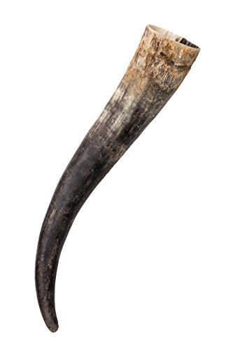 Frera Trinkhorn natur ca. 0,9-1,2l Trollhorn, 900-1200 ml, Methorn, lebensmittelechtes Naturhorn, außen geölt, innen versiegelt von Frera