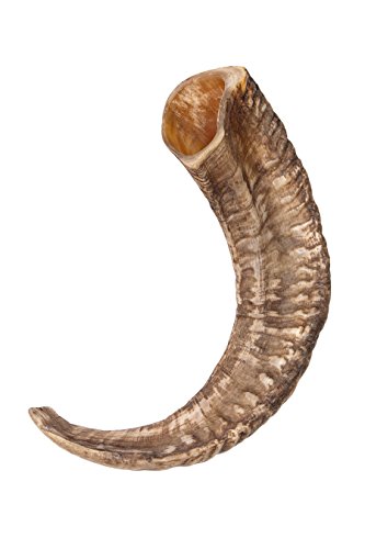Frera Trinkhorn, Schaf, ca. 60-120 ml, 0,06-0,12 l, Naturhorn, lebensmittelecht lackiert von Frera