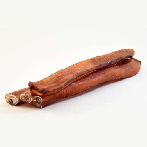 FRESCO Dog Ochsenziemer Hundeleckerli Kausnack aus 100% Rind für Zahnpflege und Belohnung I 25cm aus Deutscher Herstellung FRESCO Dog Ochsenziemer Hundeleckerli Kausnack aus 100% Rind für Zahnpflege und Belohnung I 25cm aus Deutscher Herstellung von Fresco Dog