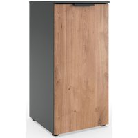Wimex Kommode "Level by fresh to go", 1-türig mit soft-close Funktion, 41cm breit, 92cm hoch von Wimex