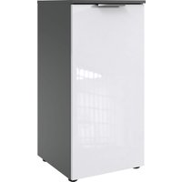Wimex Kommode "level36 D by fresh to go", 1-türig mit soft-close Funktion, 41cm breit, 84cm hoch von Wimex