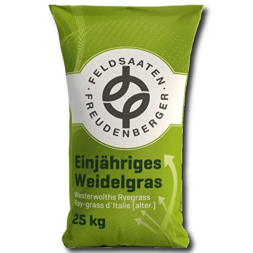 Einjähriges Weidelgras 25 kg Italienisches Raygras Zwischenfrucht Biogas Futter von Freudenberger