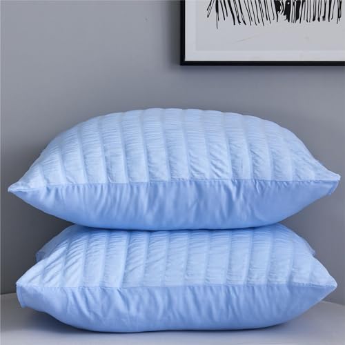 Freyamy Seersucker Kissenbezug 40x80cm 2er Set Blau Geprägt Streifen Strukturiert Chic Kopfkissenbezug Gebürstet Microfaser Weiche Kissenhülle Bequem Kissenbezug mit Reißverschluss Freyamy Seersucker Kissenbezug 40x80cm 2er Set Blau Geprägt Streifen Strukturiert Chic Kopfkissenbezug Gebürstet Microfaser Weiche Kissenhülle Bequem Kissenbezug mit Reißverschluss von Freyamy