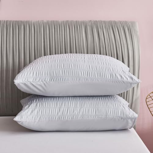 Freyamy Seersucker Kissenbezug 40x80cm 2er Set Hellgrau Geprägt Streifen Strukturiert Chic Kopfkissenbezug Gebürstet Microfaser Weiche Kissenhülle Bequem Kissenbezug mit Reißverschluss Freyamy Seersucker Kissenbezug 40x80cm 2er Set Hellgrau Geprägt Streifen Strukturiert Chic Kopfkissenbezug Gebürstet Microfaser Weiche Kissenhülle Bequem Kissenbezug mit Reißverschluss von Freyamy