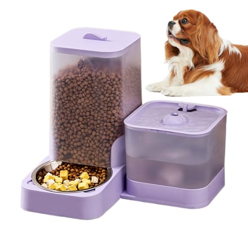Frfik Automatischer Katzenfutterautomat,Futterspender mit Wasserspender - Wassernapf mit Edelstahlschale und Vorratsbehälter für Alle Katzengrößen von Frfik