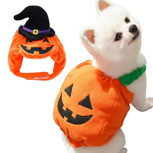 Frfik Kürbis Hundekostüm,Mit Kürbis-Hut - Warmes Hundekostüm Für Halloween Herbst Winter Karneval Tägliche Spaziergänge Saisonale Hundebekleidung von Frfik