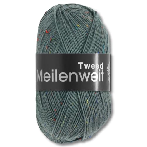 Frida's Wollhaus Lana Grossa 100 g Meilenweit 100 Tweed Sockenwolle Stricken Garn 20 Farben (172 | Dunkles Blaugrau) von Frida's Wollhaus