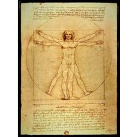Vitruvian Man Art Of Leonardo Da Vinci von FridgeMagnetWorld
