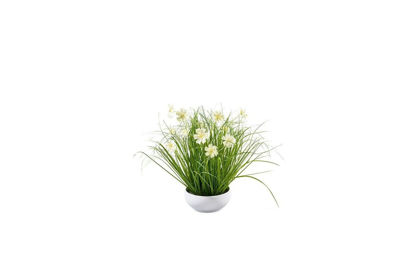 Kunstpflanze Gras in Schale mit Blüten, creme/ grün, ca. 42 cm, Friedrich Klocke GmbH, Höhe 42 cm von Friedrich Klocke GmbH