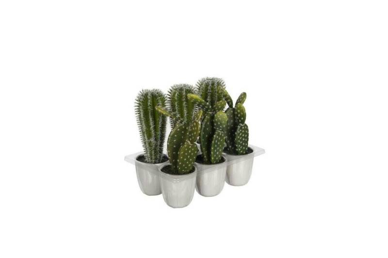 Kunstpflanze Kaktus im Topf - länglich/ groß, Friedrich Klocke GmbH, Höhe 22 cm von Friedrich Klocke GmbH