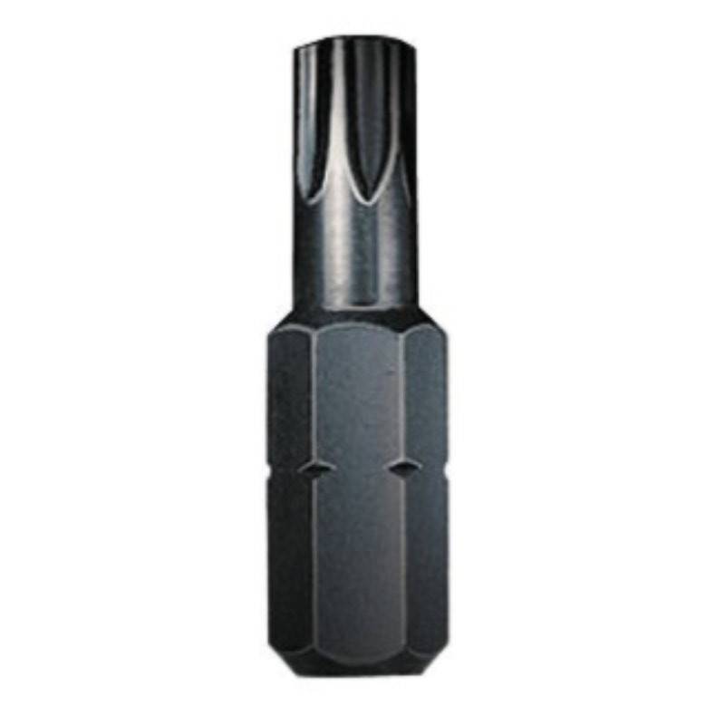 passender Torx 20 Bit für PAN Torx von Friedrich von Lien AG