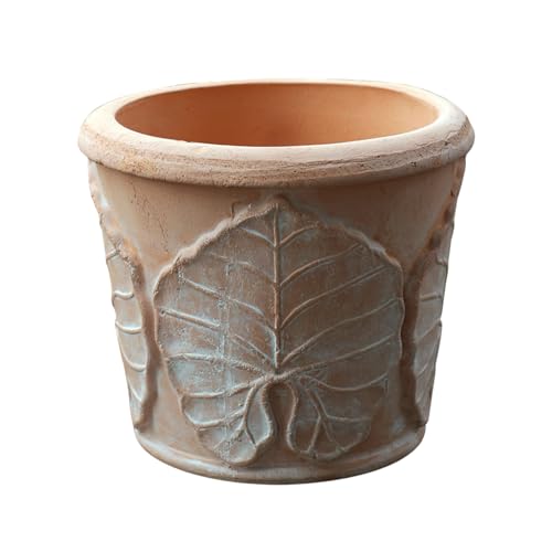 FriendshipHome Sukkulentententöpfe Kreativer Retro-weißer Keramik-Blumentopf Steingut roter Blumentopf einfach atmungsaktiv handgefertigt Relief Blumentopf Pflanztöpfe kleine Pflanzgefäße FriendshipHome Sukkulentententöpfe Kreativer Retro-weißer Keramik-Blumentopf Steingut roter Blumentopf einfach atmungsaktiv handgefertigt Relief Blumentopf Pflanztöpfe kleine Pflanzgefäße von FriendshipHome