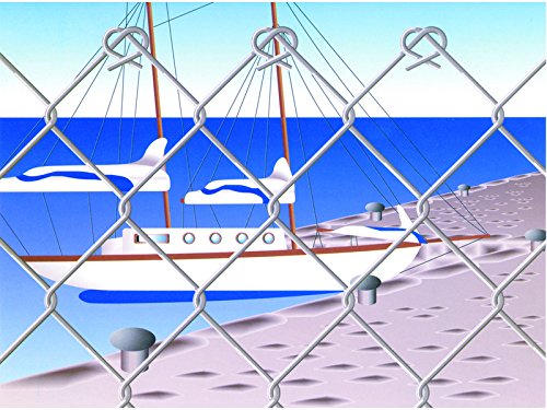 Gitternetz Flexyfort Lose Netz verzinkt, Masche 50 x 50 cm, Rolle Mt. 25 cm. von Frigerio