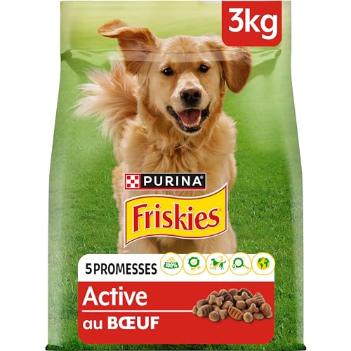 FRISKIES | Aktiv | Hund | Trockenfutter für ausgewachsene Hunde | mit Rindfleisch | hilft, EIN hohes Energieniveau aufrechtzuerhalten | Beutel | 3 kg von Friskies