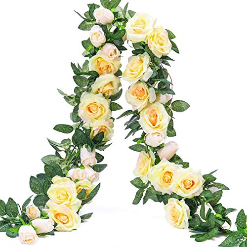 " Rose Garland Künstliche Rose Vine mit grünen Blättern Blumen Girlande für Blüten DIY Blumenrebe Zuhause Hochzeit Valentinstag Familie Garten Decor 2M* 2PCS" (Champagner) von Frmarche
