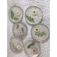Untersetzer, Blumenuntersetzer Untersetzer, Blumenuntersetzer von FrogHollowStudio